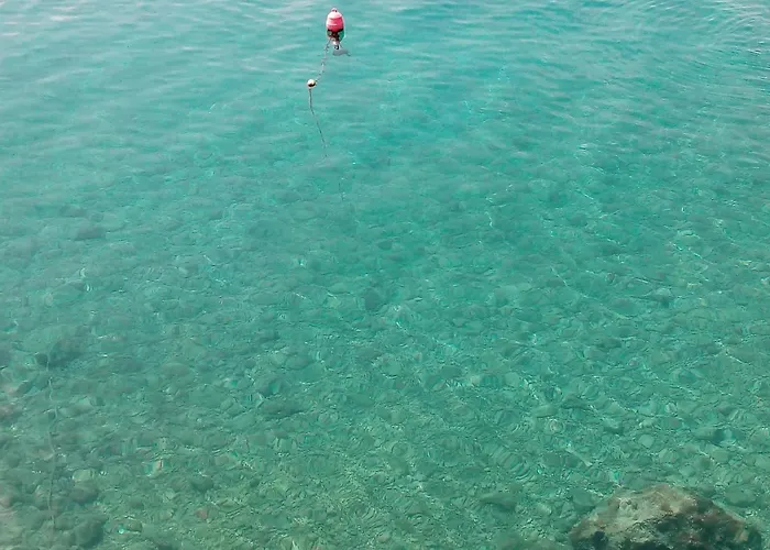 Appartamento Ana Zivogosce-apartment4 Živogošće